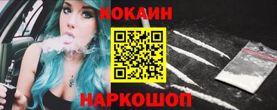 шишки Камышлов