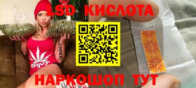 шишки Камышлов