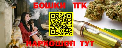 шишки Камышлов