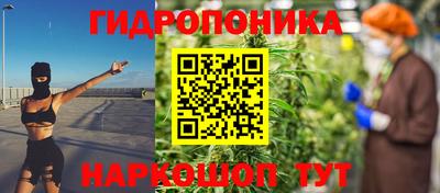шишки Камышлов