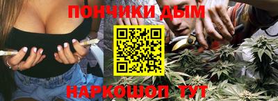 шишки Камышлов
