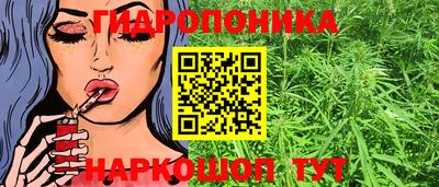 шишки Камышлов