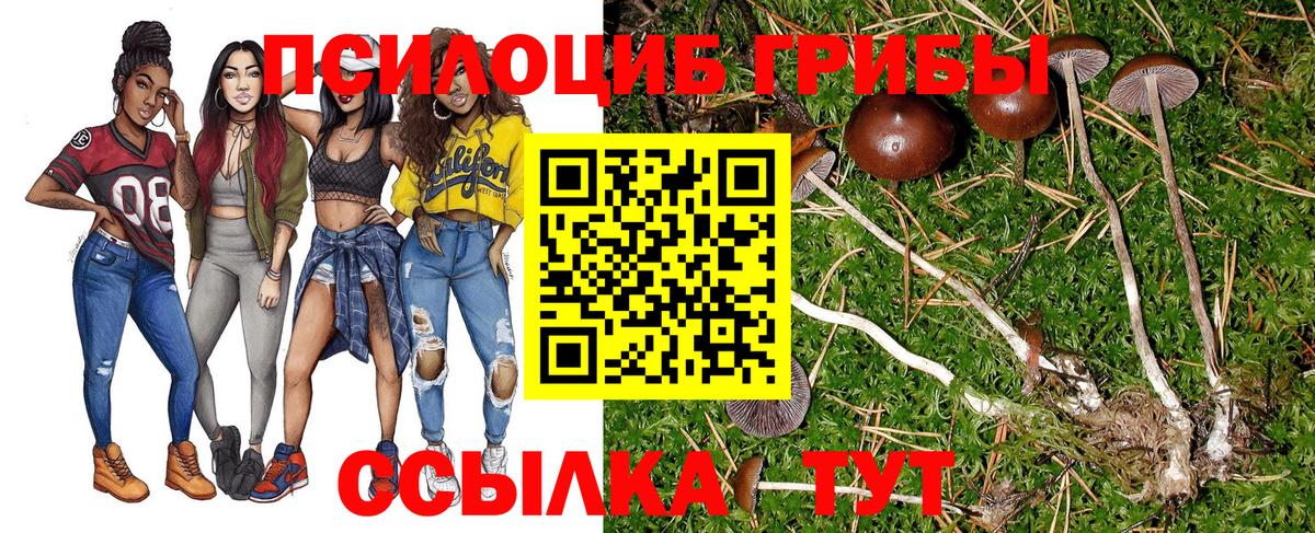 Галлюциногенные грибы прущие грибы Людиново